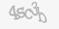 Защитный код