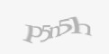 Защитный код