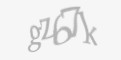 Защитный код